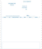 Peachtree Continuous Statement Form